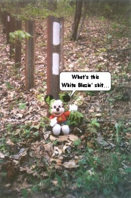 whiteblazinmickey.jpg
