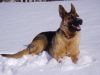 Winter_Cold_Snap_and_Storm_2007_046.jpg
